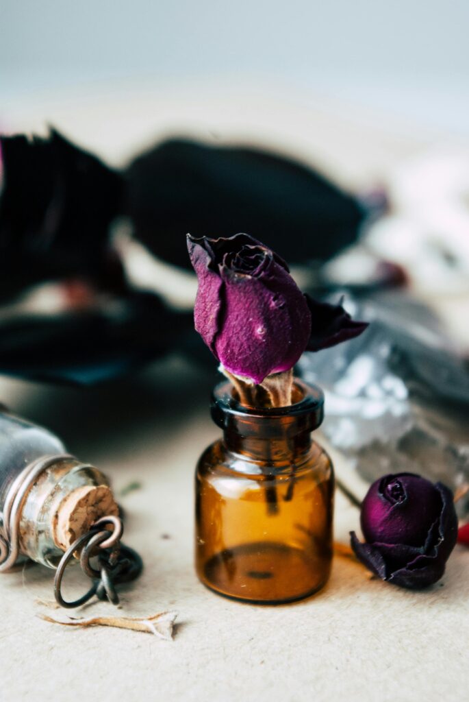 Dried aromatic purple rose placed in glass jar against blurred background in light room